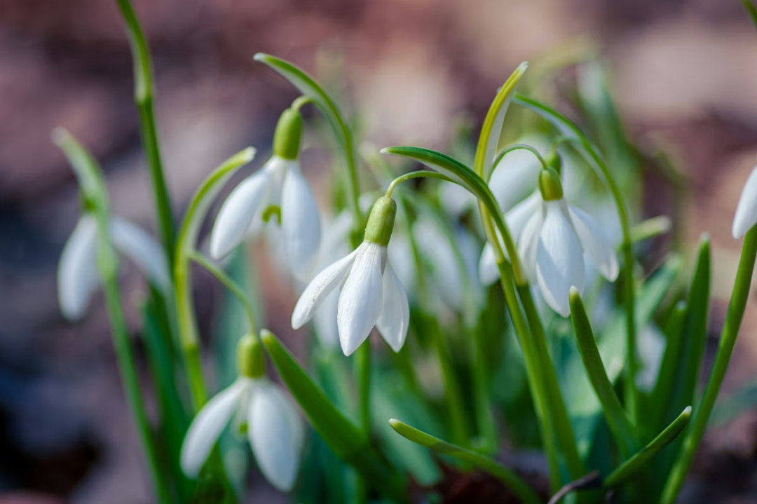 Acrylics with Jayne Blacklock